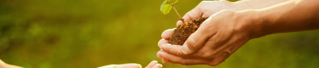 Understanding the Impact of a SharePoint Specialist on Project Management Success